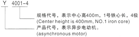 西安泰富西玛Y系列(H355-1000)高压YJTG-225M-2A/45KW三相异步电机型号说明