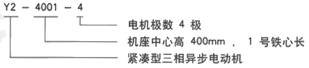 YR系列(H355-1000)高压YJTG-225M-2A/45KW三相异步电机西安西玛电机型号说明